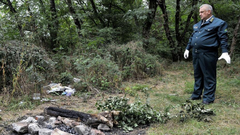 На Ставрополье продлён запрет на пребывание в лесах