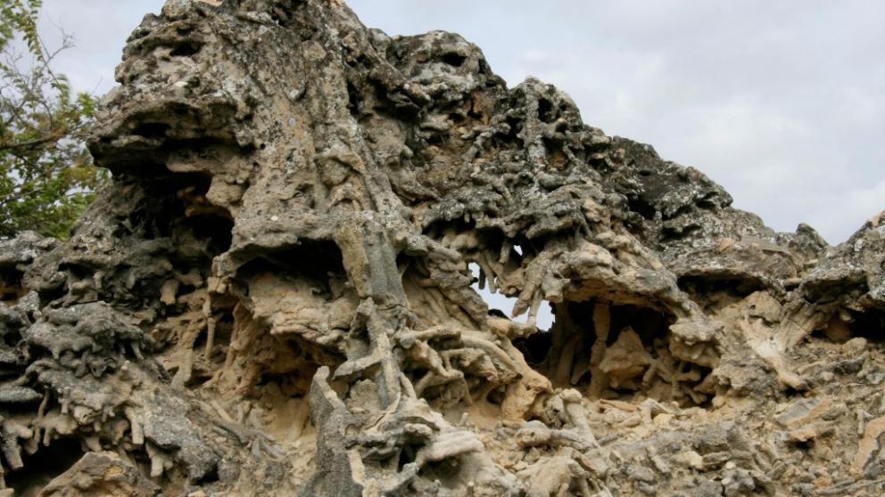 Охрана горы Куцай на Ставрополье будет усилена