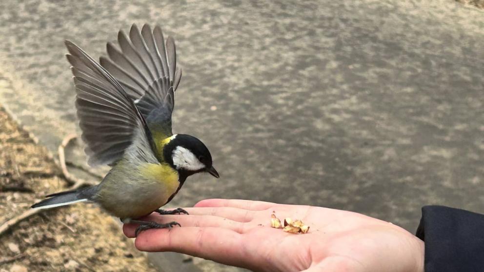 До плюс 13 градусов прогнозируют на Ставрополье на выходных