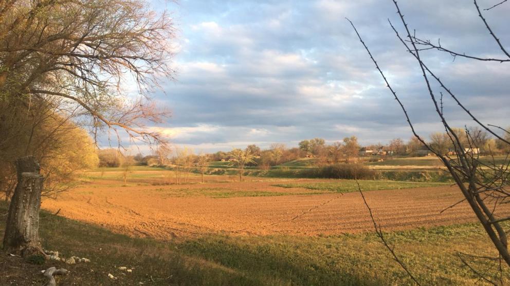 Модельная библиотека открыла онлайн-путешествие по Петровскому округу Ставрополья