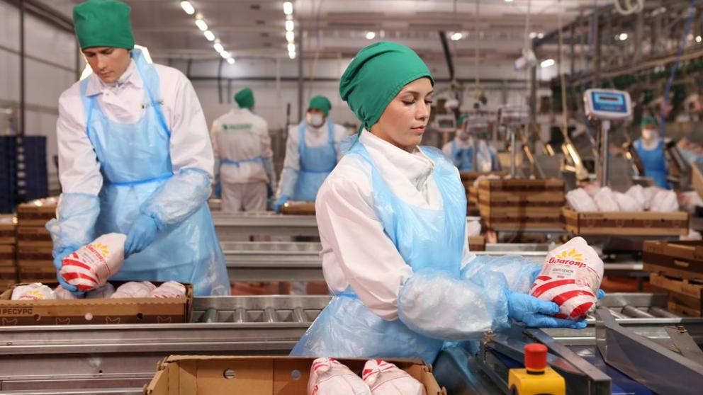 Ставрополье второй год подряд оказалось в лидерах по экспорту мясной продукции в России