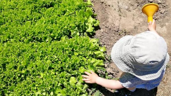 Ставропольские предприниматели могут получить федеральные гранты на развитие агротуризма