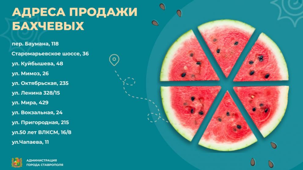 В Ставрополе открыли точки по продаже бахчевых 