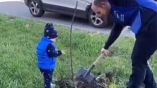 Активисты «Доброго сердца» украшают Ставрополь яблонями