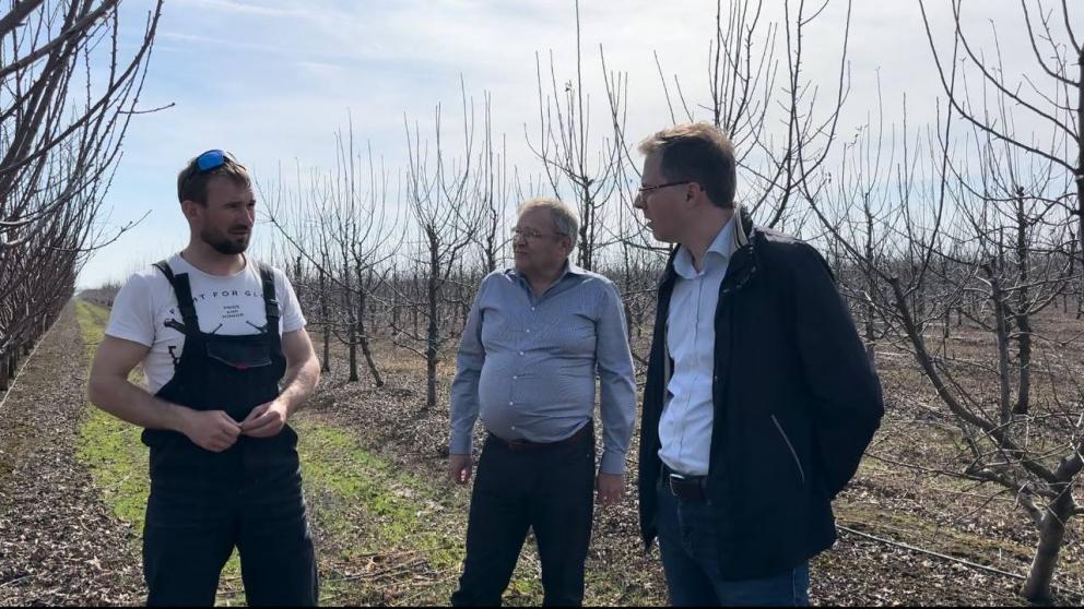 В Кировском округе Ставрополья активно развивают ягодоводство