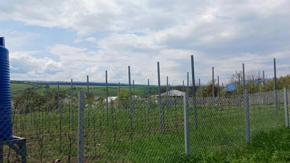 В селе Юца появился «Школьный сад»