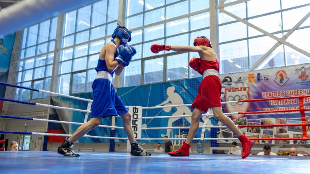 Ставропольские боксеры привезли медали из Чечни и Кабардино-Балкарии 