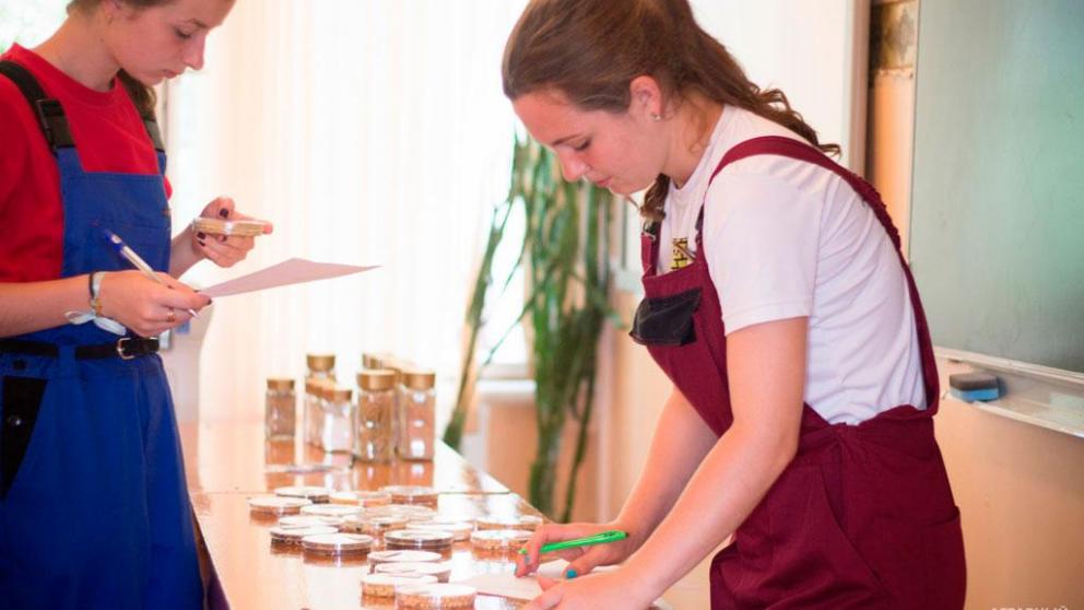 В Александровском округе появится агрокласс