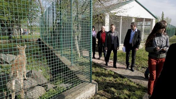 Проблемы охотничьих хозяйств обсудили на заседании комитета по природопользованию ДСК