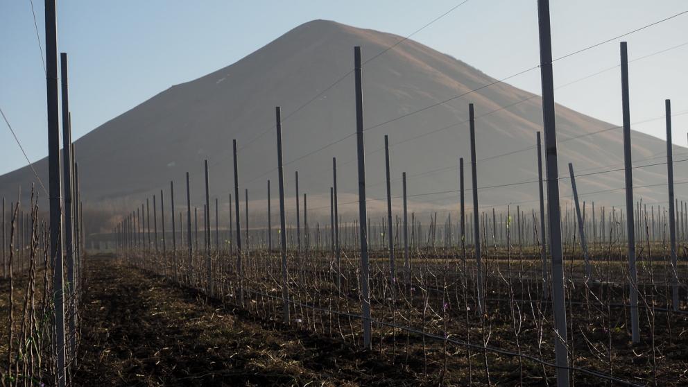 Губернатор Владимиров принял участие в закладке новой очереди фруктового сада в селе Юца