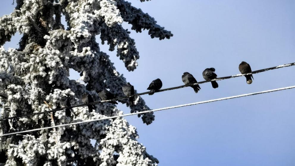 На Ставрополье похолодает до минус 2 градусов