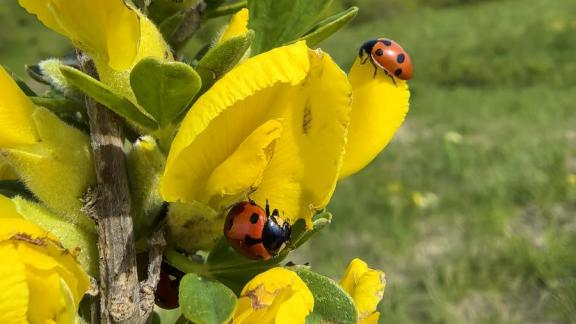 Подведены итоги первого этапа ежегодной акции «Сохраним природу Ставрополья»