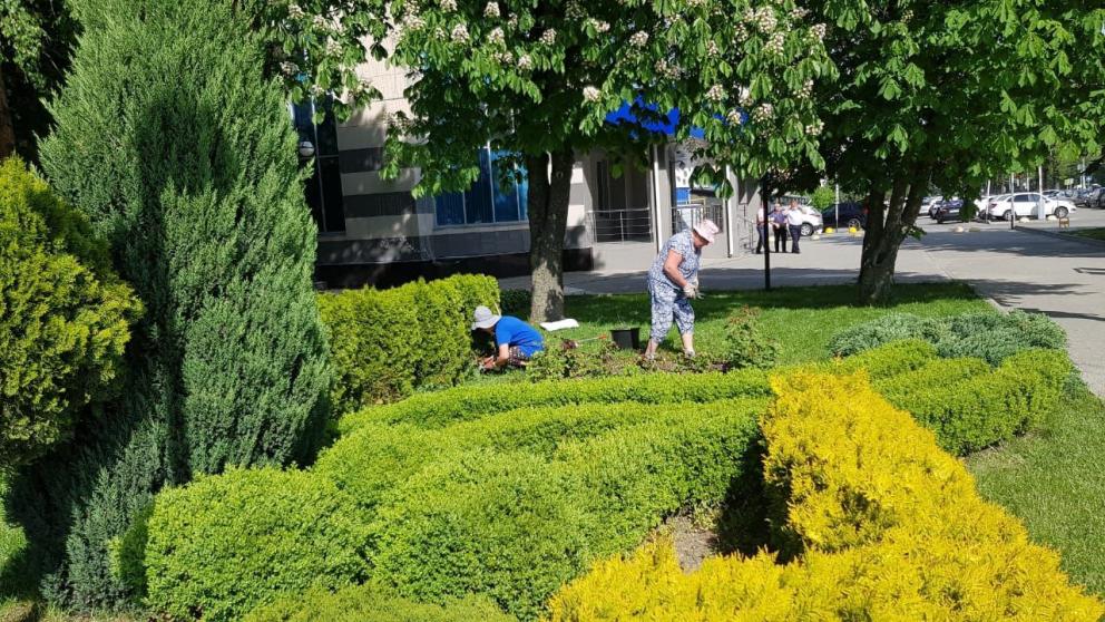 Более 20 тысяч человек вышли на субботник в Ставрополе