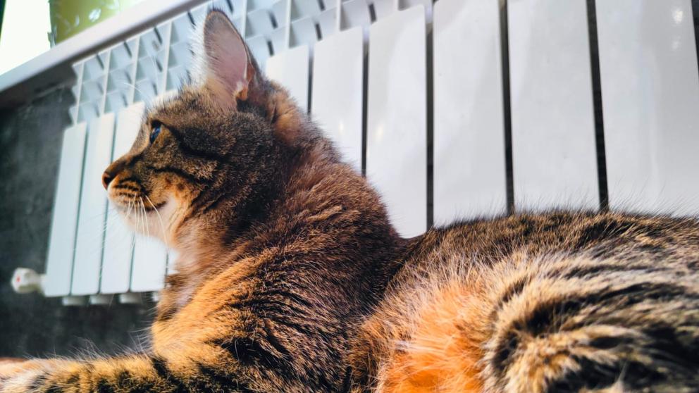 В Георгиевском округе Ставрополья завершили отопительный сезон