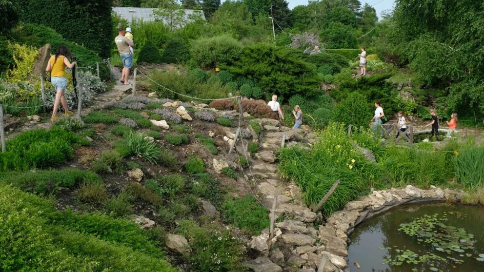 Тропическое растение передали «по обмену» в Ботанический сад Ставрополя