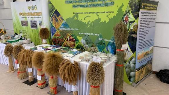 Молодые ученые-биологи Ставрополья признаны лучшими в России