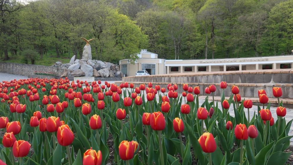 В Железноводске ожидают наплыв туристов после пандемии