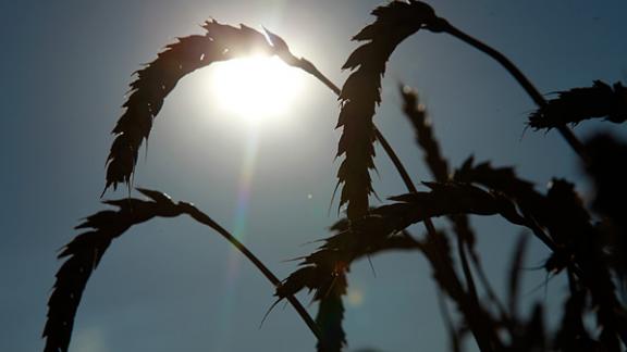 В Буденновском районе обсудили готовность аграриев к жатве