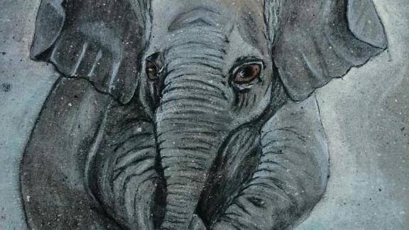 На Ставрополье завершилась акция «Рисуем слона»