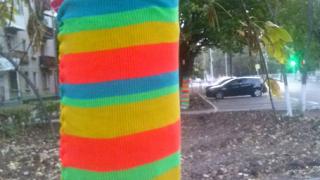 В Невинномысске неизвестные украли 12 ярнбомбингов