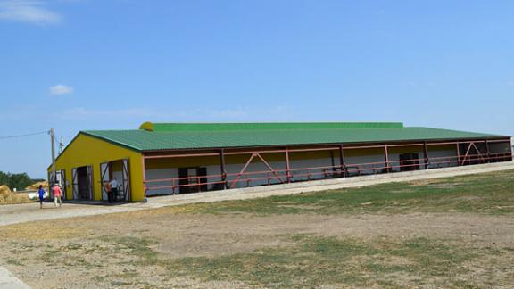 Семейная животноводческая ферма Колесниковых открылась в станице Расшеватской