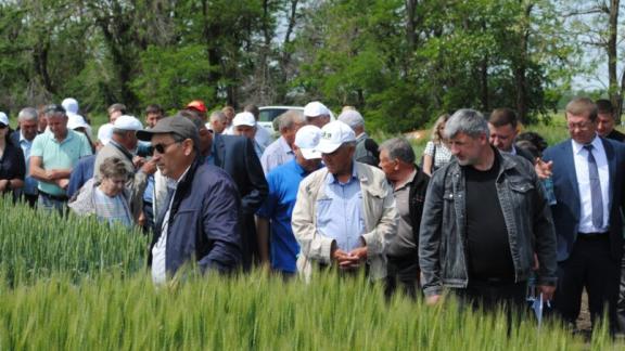 Наши семена ждут в Турции и Белоруссии