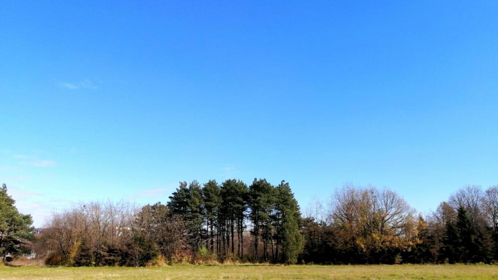 Две новые природоохранные зоны появились в Ставропольском крае