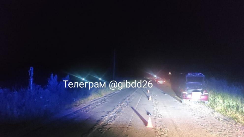 В Предгорном округе погибла бесцельно сидевшая на дороге женщина