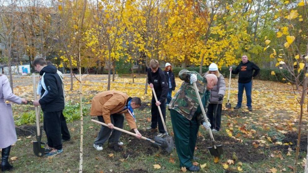 В луганском Антраците высадили 352 ставропольских дерева