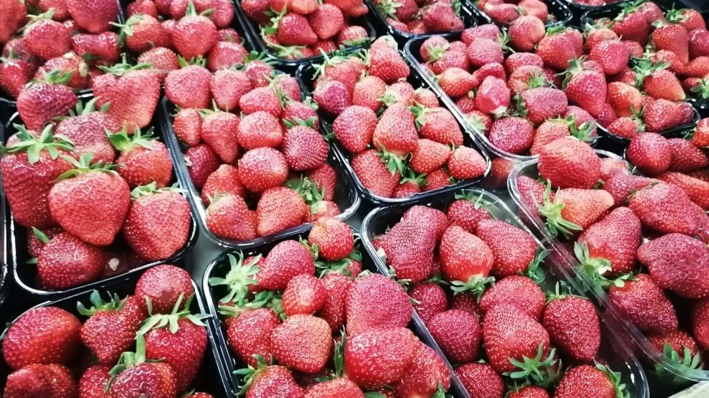Много клубники привезут в Ставрополь на ярмарки выходного дня