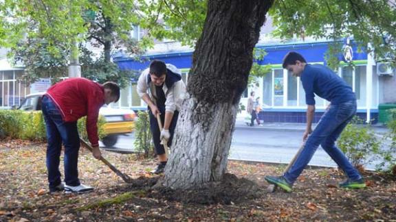 В Невинномысске в канун Дня города ликвидировали 17 стихийных свалок