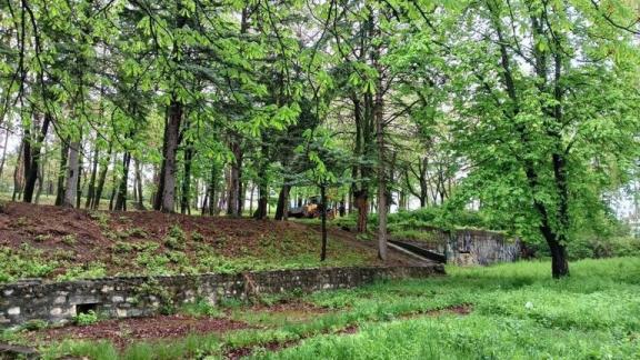 В Кисловодске обработают городские территории от насекомых