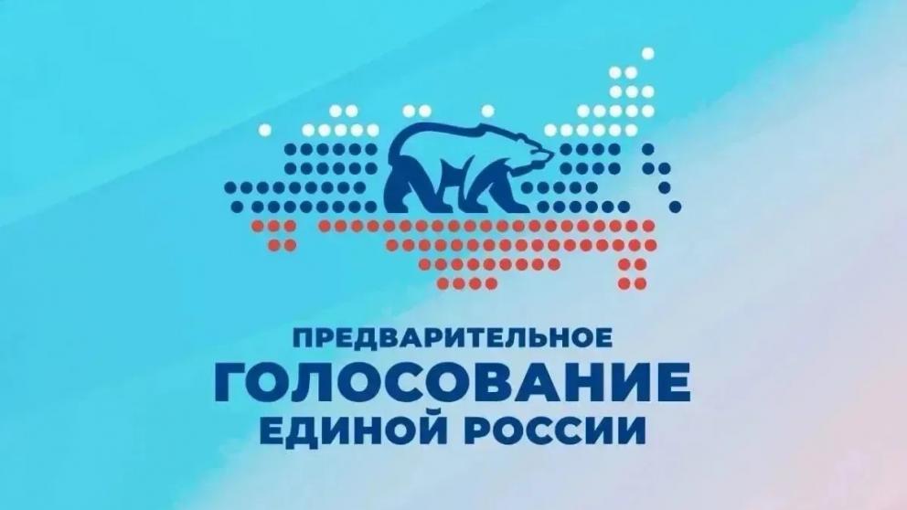 Бойцы СВО составляют более 10 процентов участников предварительного голосования на Ставрополье