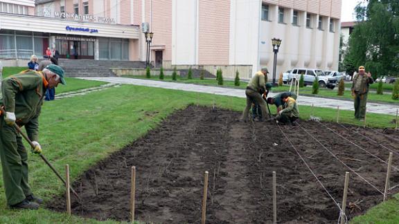 Клумбы Кисловодска украсят тысячей кустов роз