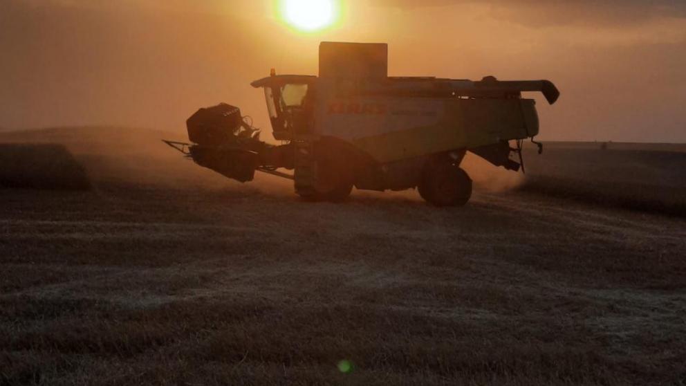 Левокумье первым на Ставрополье завершило уборку зерновых