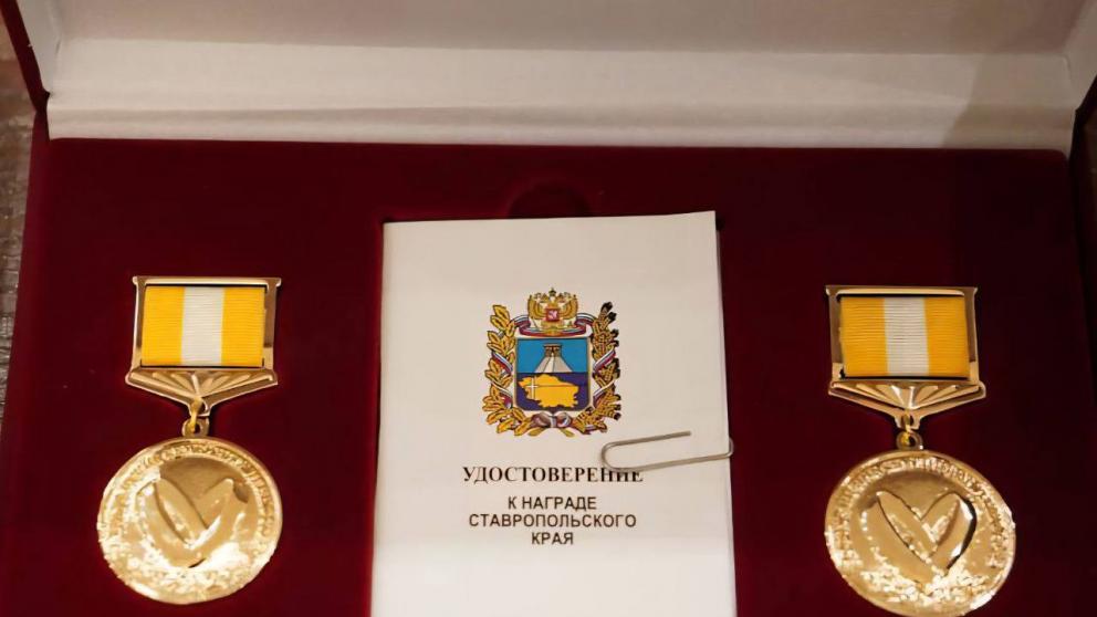 Медалью «За сохранение семейных ценностей» на Ставрополье будут награждать вдвое больше пар