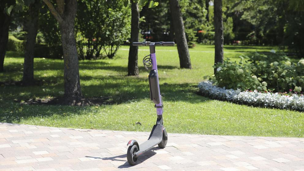 Мэрия Ставрополя: Самокаты не должны хаотично валяться на тротуарах