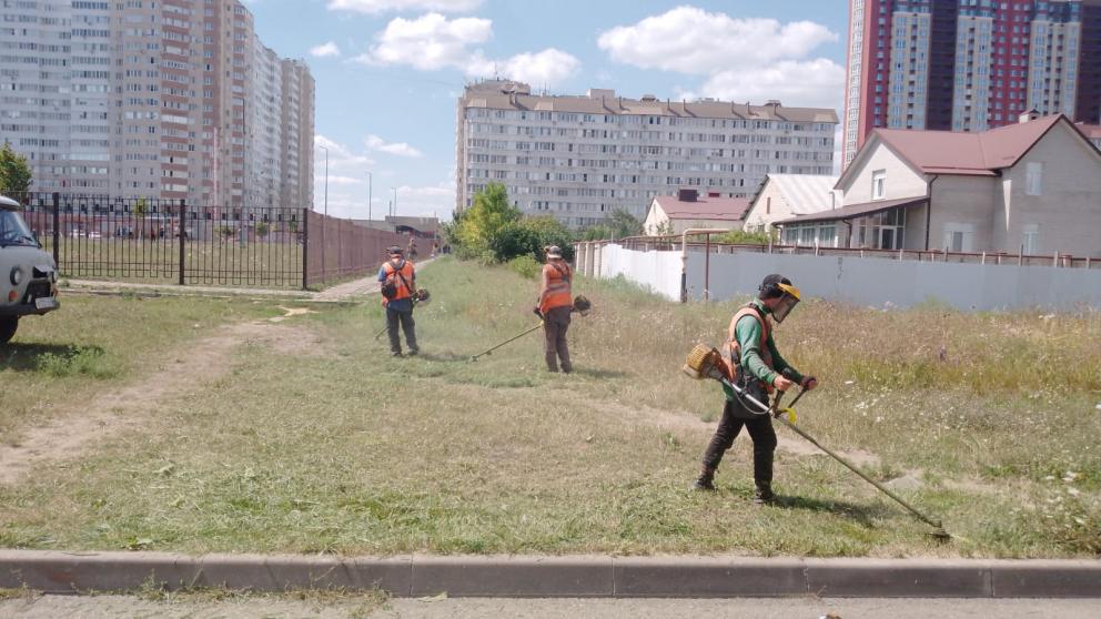 Около 85 гектаров территории очистили от амброзии в Ставрополе