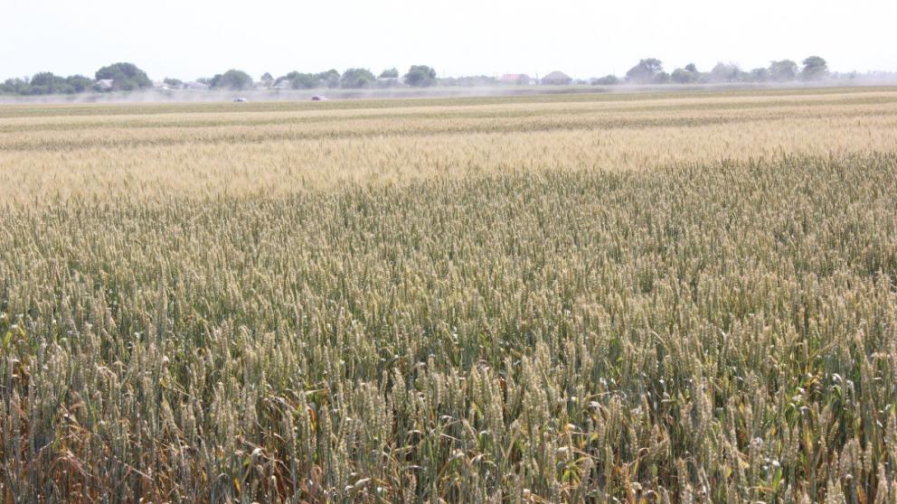 Грант «Агромотиватор» помогает ветеранам СВО развивать бизнес