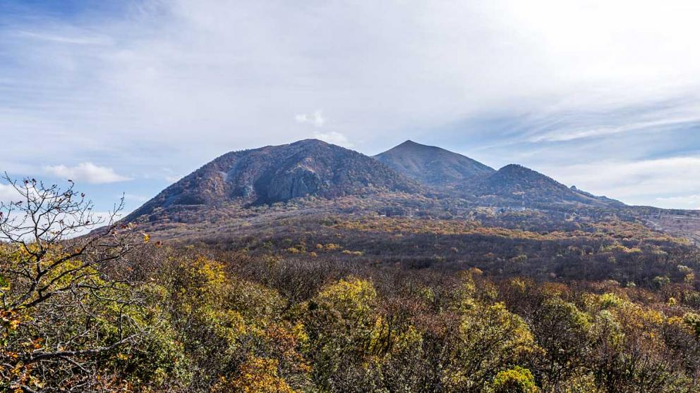 На Ставрополье в 2021 году создадут новый заказник