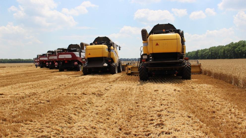 На Ставрополье аграрии получили почти 20 млрд рублей льготных кредитов