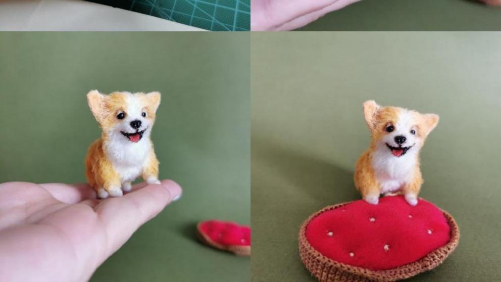 Жительница Ставрополя создаёт миниатюрных корги
