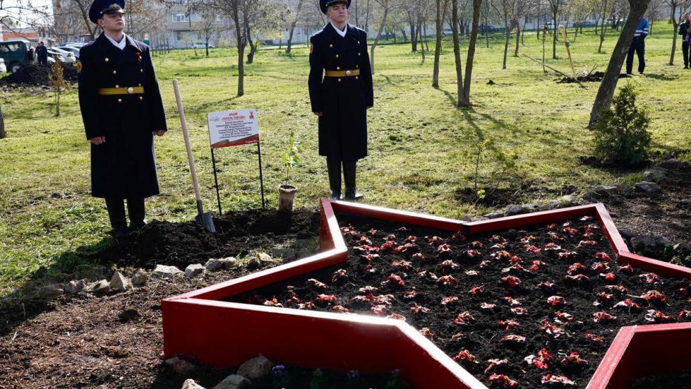 Саженец Тополя Победы из Волгограда посадили в «Саду памяти» в Невинномысске