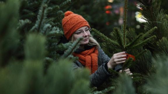 На Ставрополье обсуждается создание второго ботанического сада