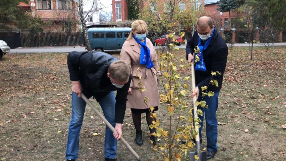 В Ессентуках высадили новую аллею из 30 берёз