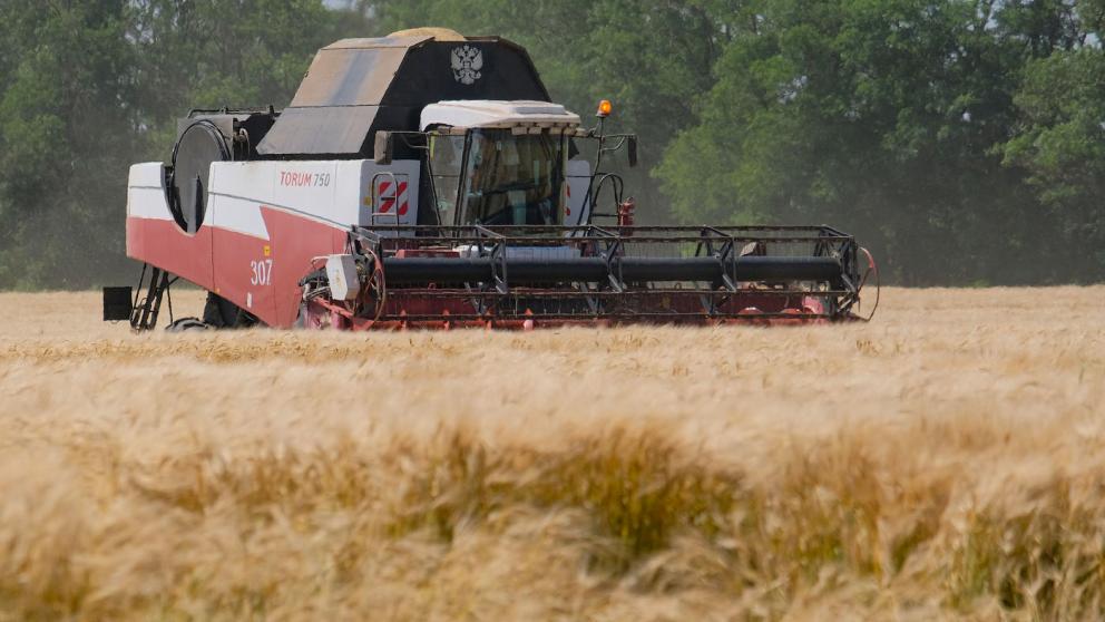 Аграрии Ставрополья собрали первые полмиллиона тонн зерна