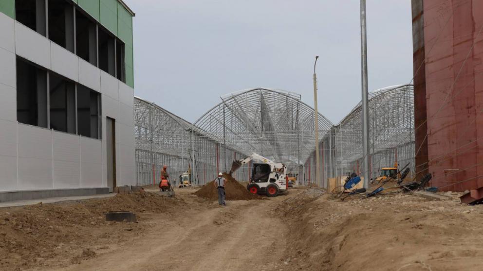 В Советском округе стартовал инвестпроект по созданию теплиц