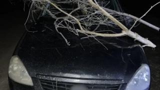 Жительницу Новоалександровского округа подозревают в умышленной порче автомобиля