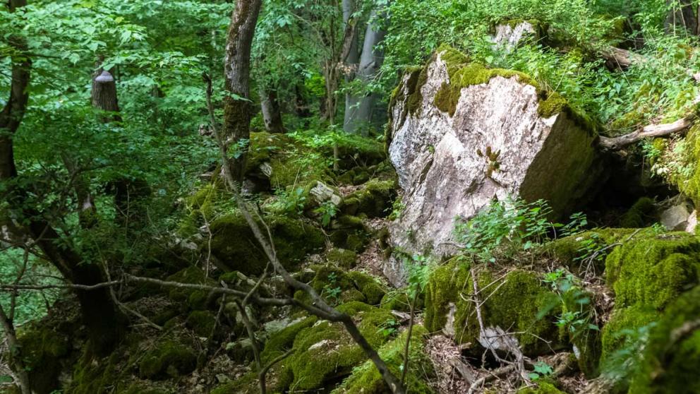 Крупному на Ставрополье заказнику Стрижамент исполнилось 10 лет