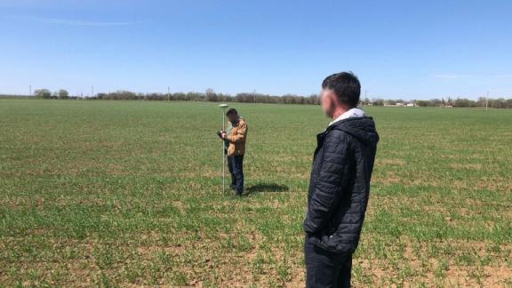 Левокумский фермер незаконно получал субсидии на выращивание овощей